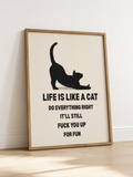 Life Is Like A Cat