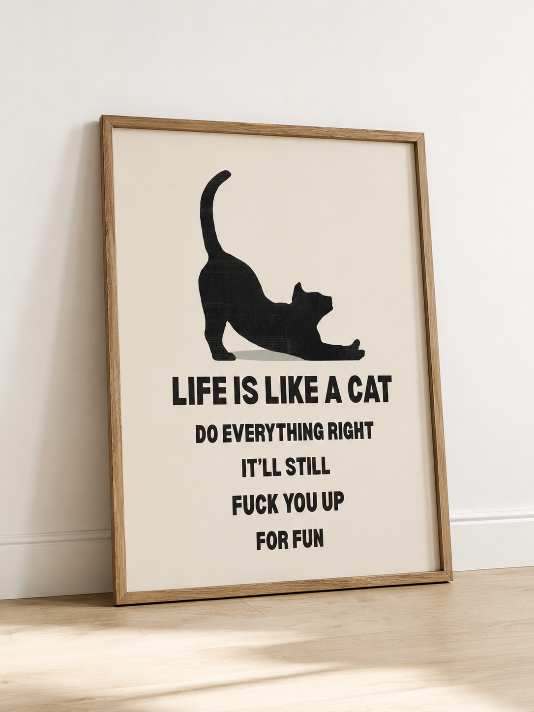 Life Is Like A Cat
