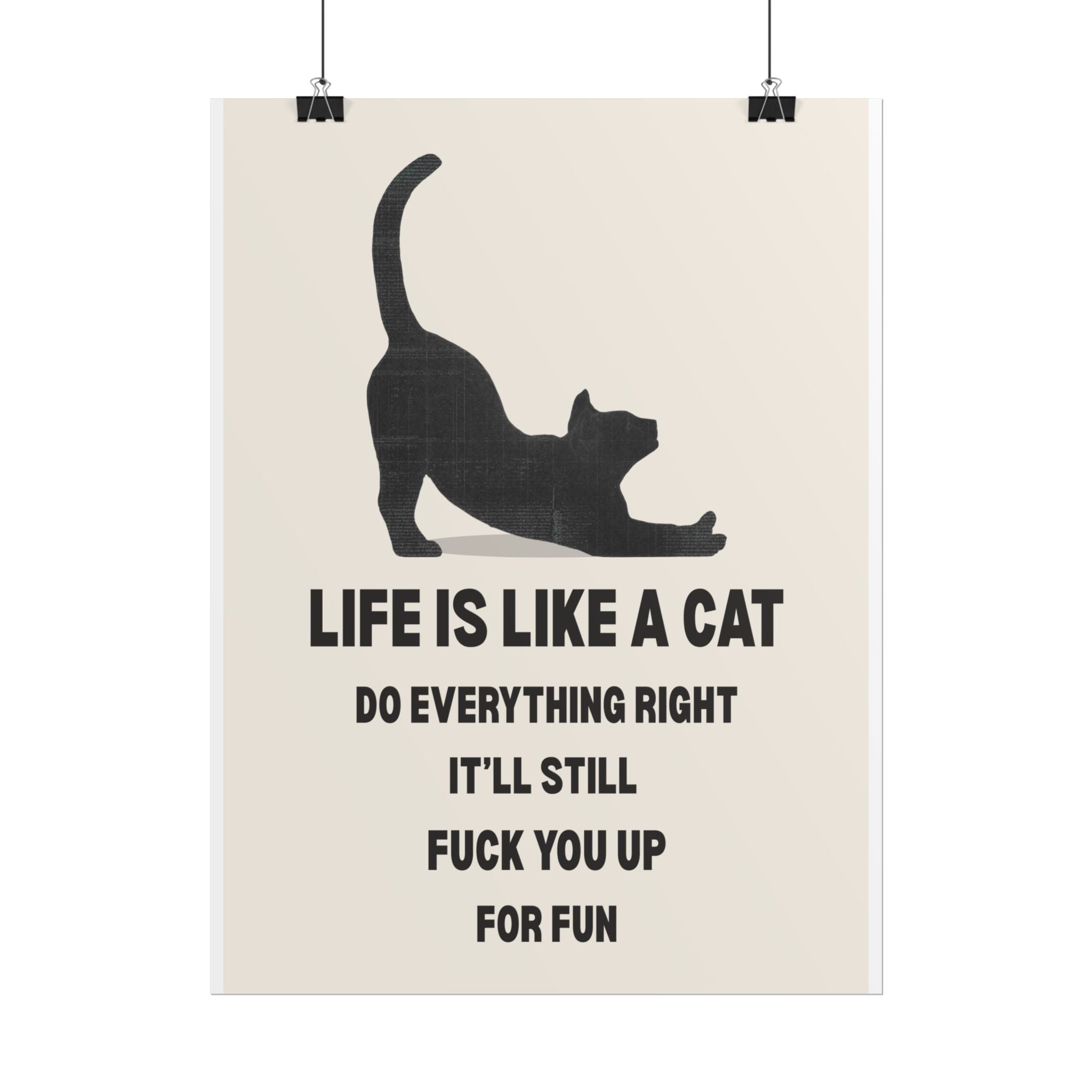 Life Is Like A Cat
