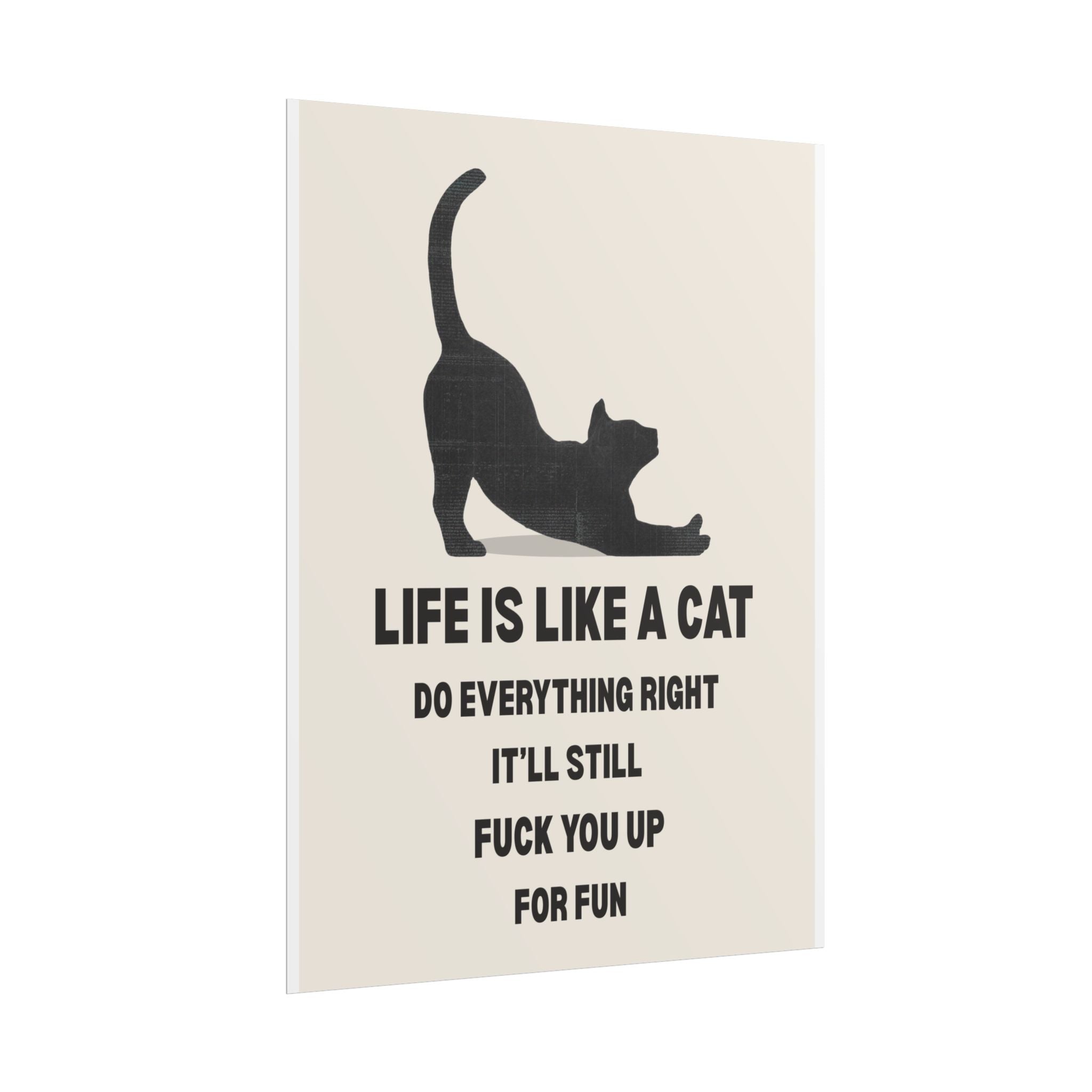 Life Is Like A Cat